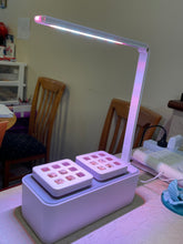 Load image into Gallery viewer, Reusable face mask 100% cotton mask - Miss A Beauty