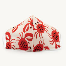 Load image into Gallery viewer, MReusable face mask 100% cotton mask - Miss A Beauty