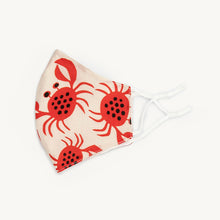 Load image into Gallery viewer, MReusable face mask 100% cotton mask - Miss A Beauty