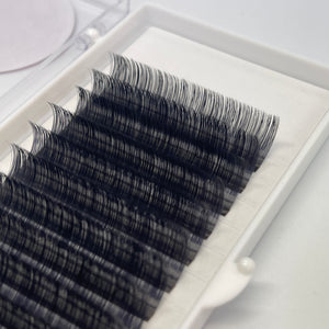 D Curl Lashes 0.05mm for Eyelash Extensions - Miss A Beauty