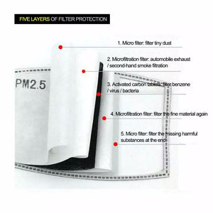 PM2.5 filter 10 pack Adult size - Miss A Beauty
