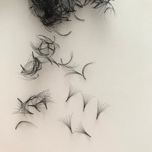 Load image into Gallery viewer, Eyelash Extension Handmade Premade Fans C Curl 6D - Miss A Beauty
