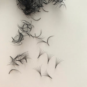 Eyelash Extension Handmade Premade Fans C Curl 6D - Miss A Beauty