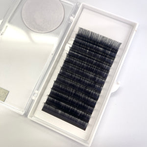 D Curl Lashes 0.05mm for Eyelash Extensions - Miss A Beauty