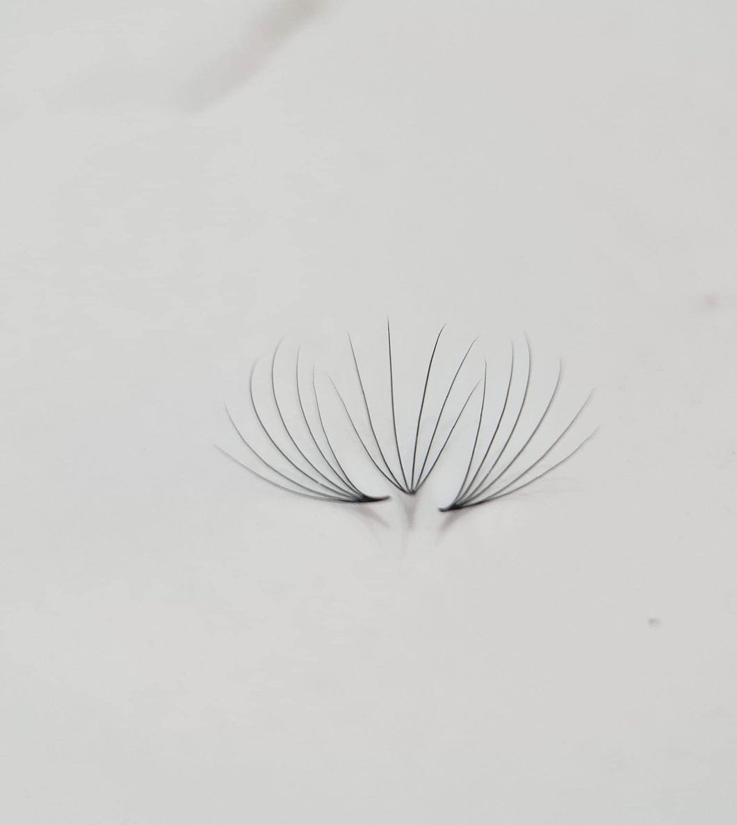 Eyelash Extension  6D Camellia Premade Fans D curl - Miss A Beauty