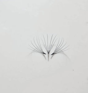 Eyelash Extension  6D Camellia Premade Fans D curl - Miss A Beauty