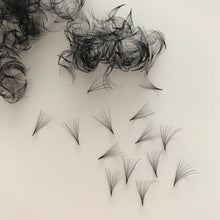 Load image into Gallery viewer, Eyelash Extension Handmade Premade Fans C Curl 10D - Miss A Beauty
