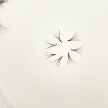Load image into Gallery viewer, Eyelash Extension Handmade Premade Fans D Curl 8D - Miss A Beauty
