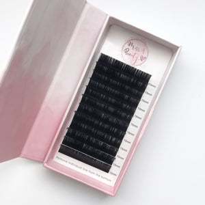 D Curl Lashes 0.12mm for Eyelash Extensions - Miss A Beauty